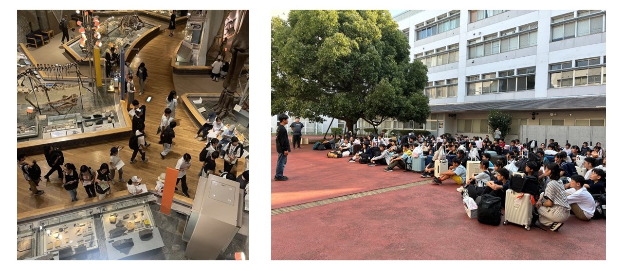3日目