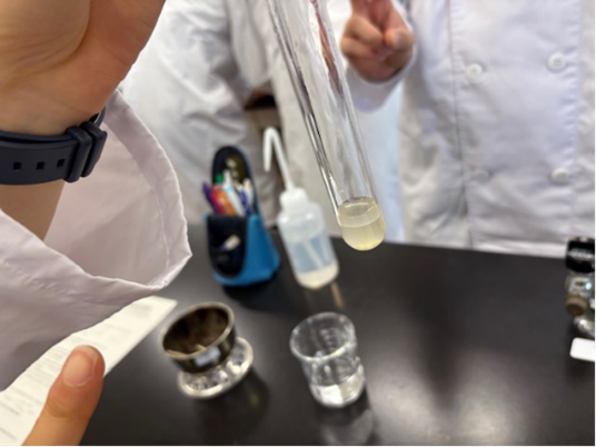 サリチル酸メチル2