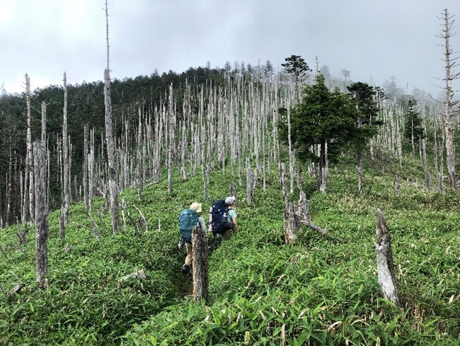 山岳部2