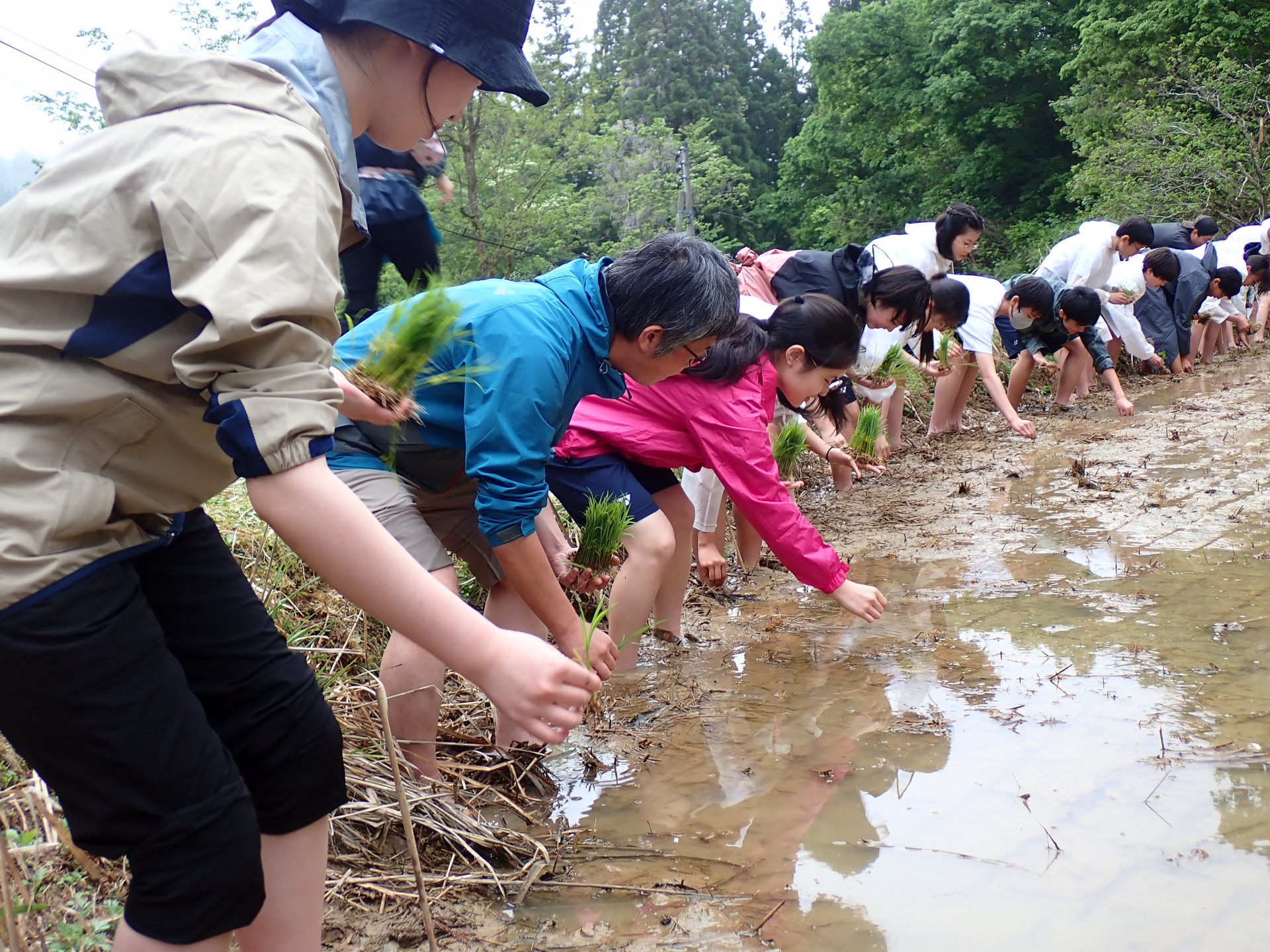 田植え開始.JPG