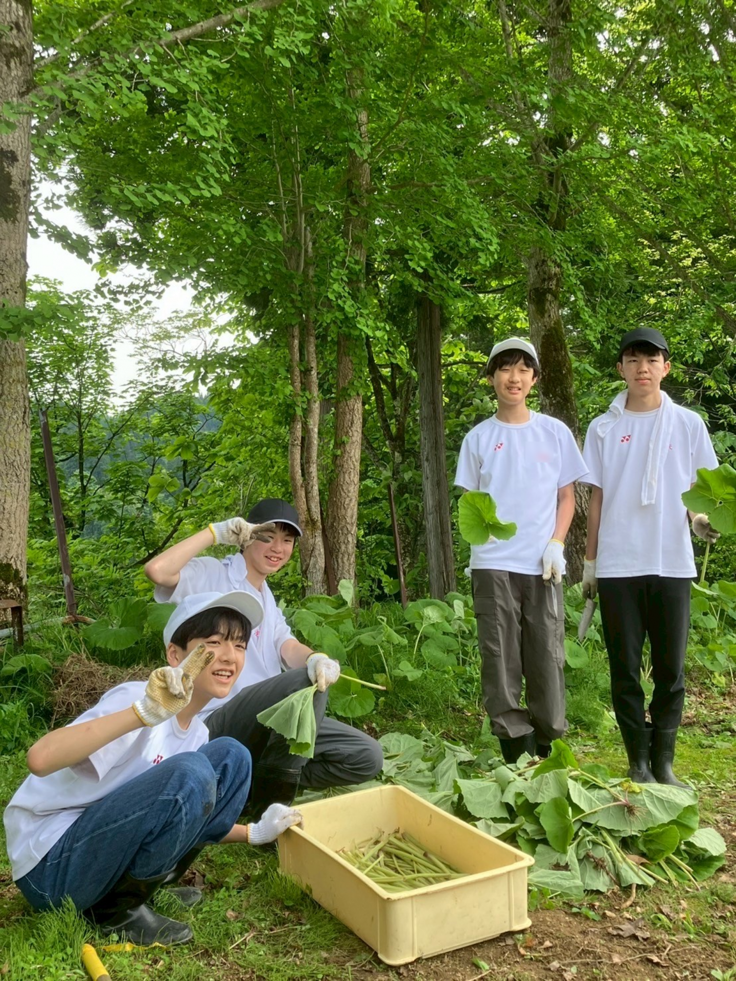 画像1