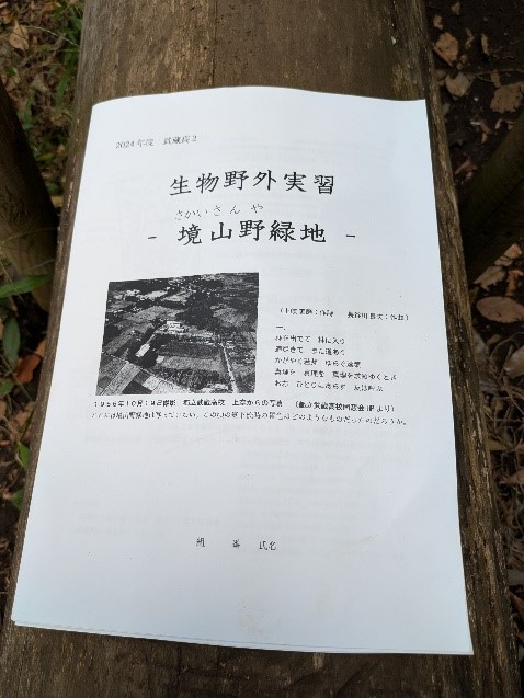 画像４