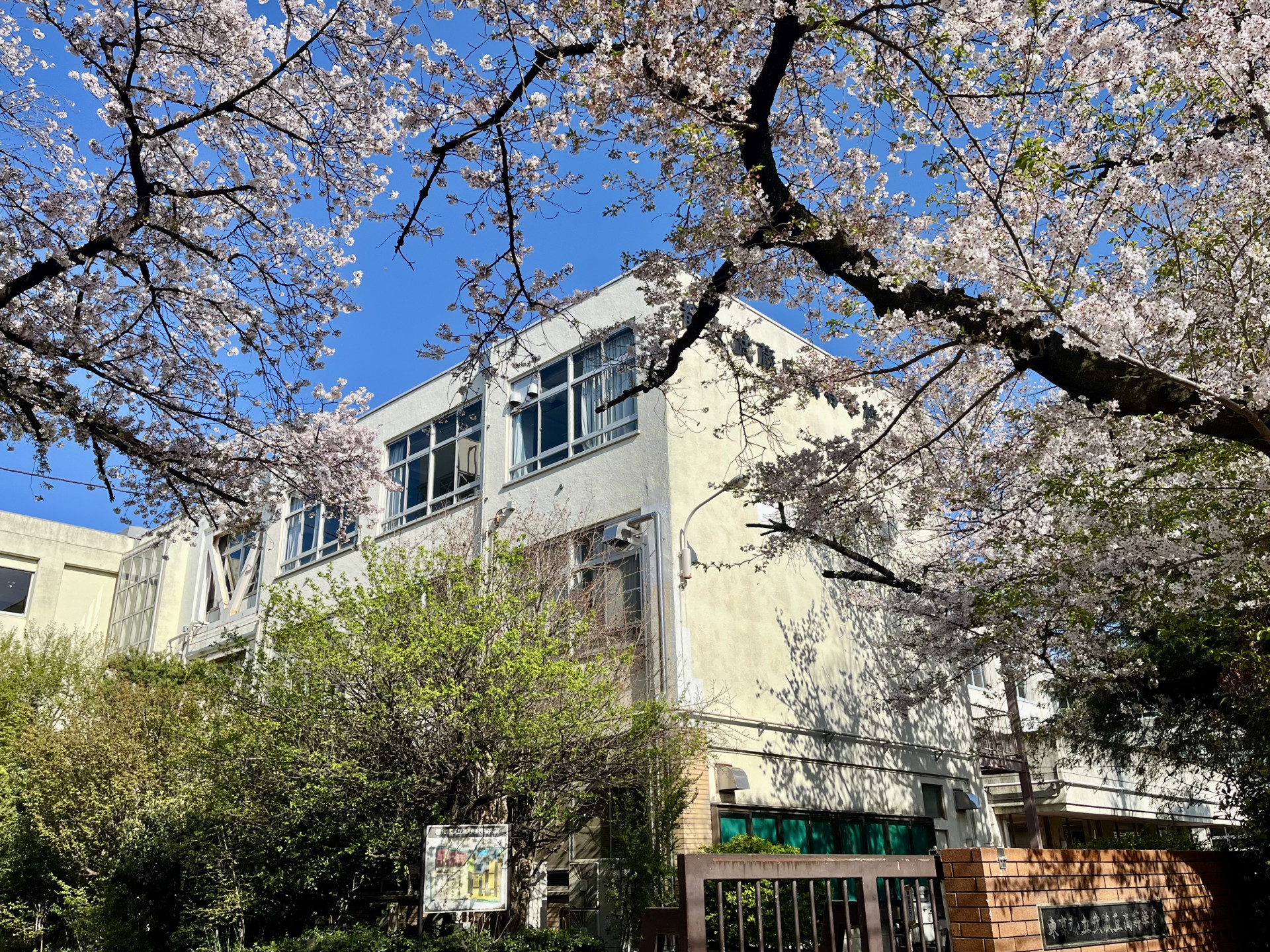 桜正門