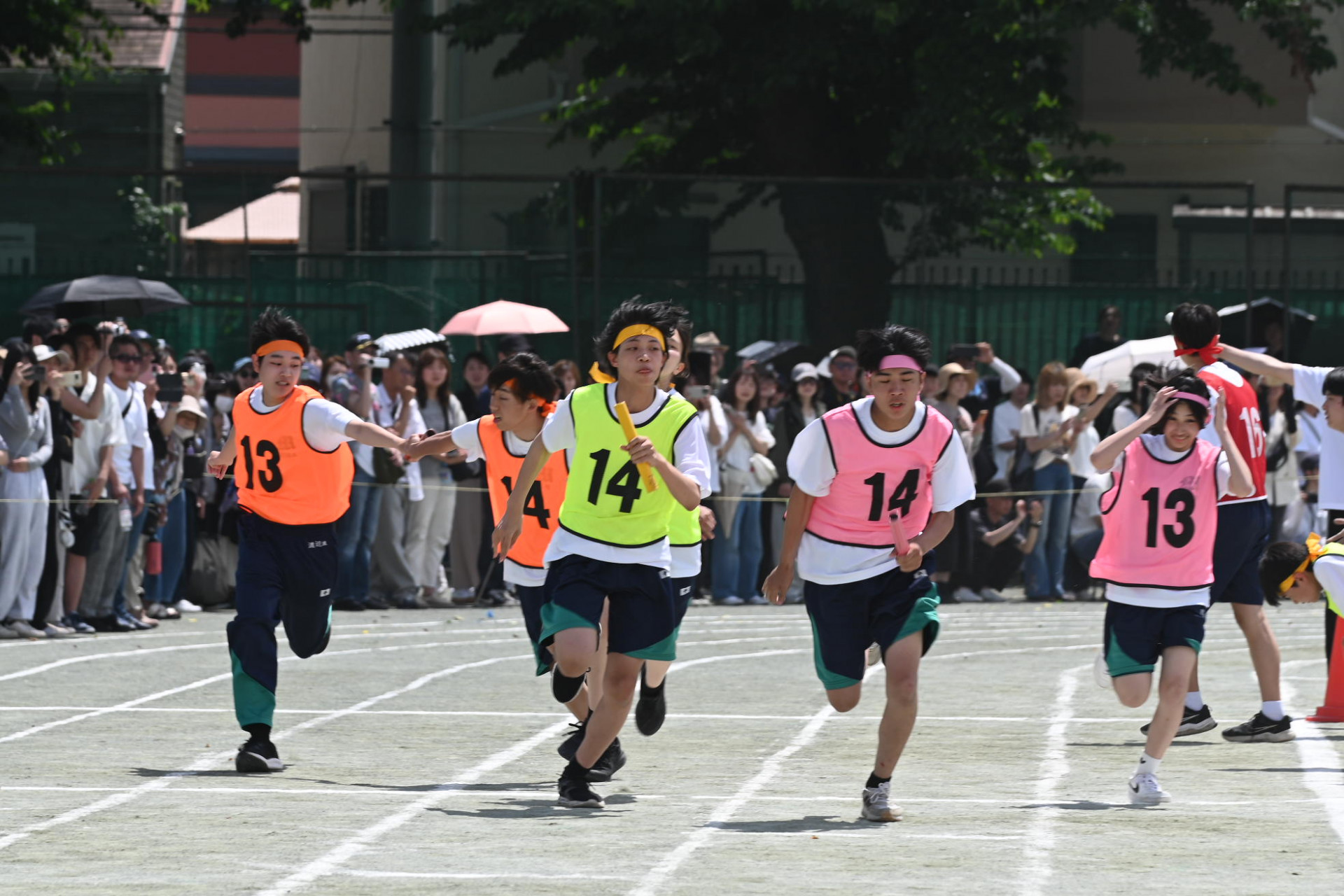 DSC_1833.JPG