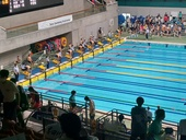IMAG7994