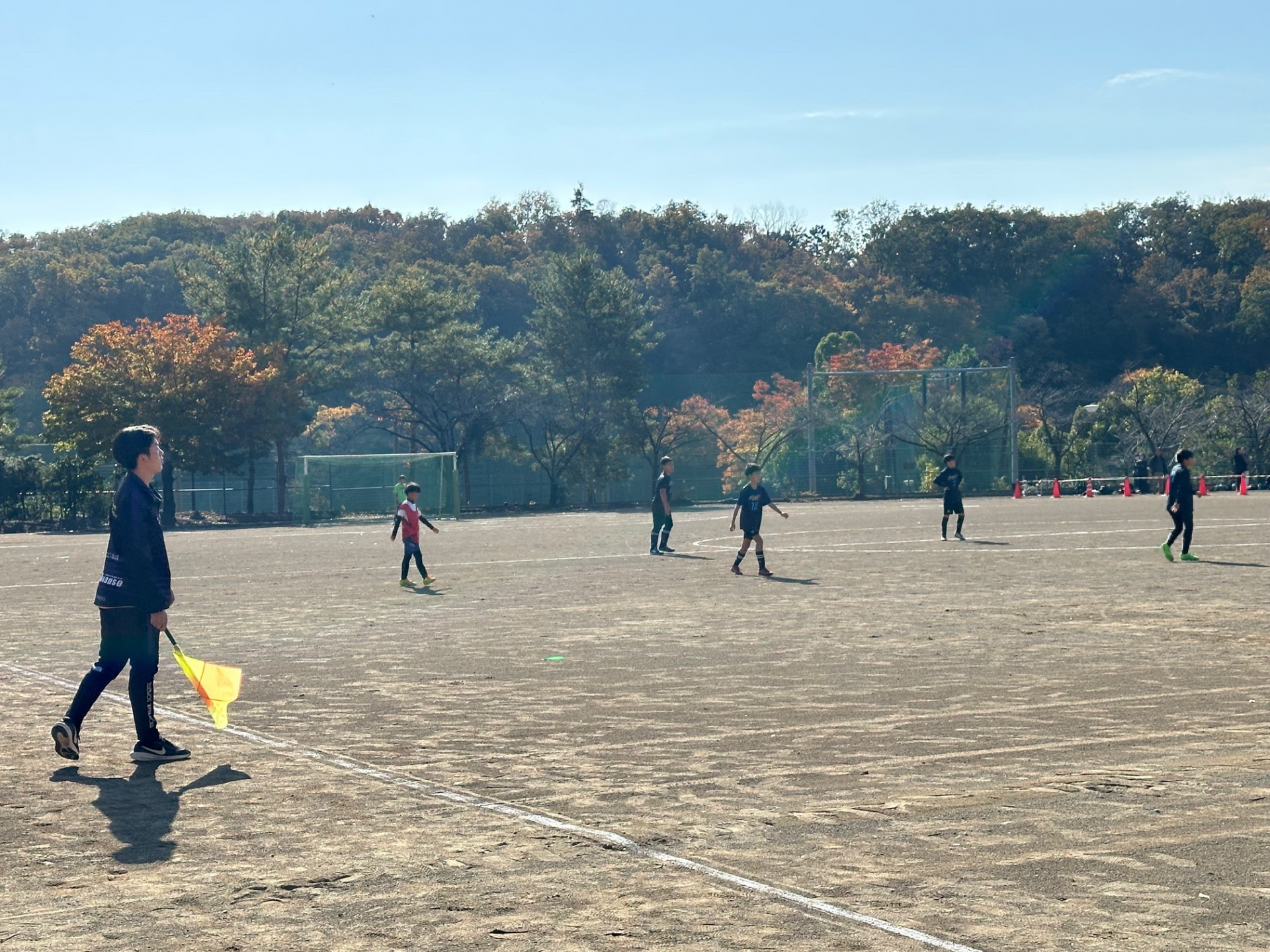 mosaic_20251127112013