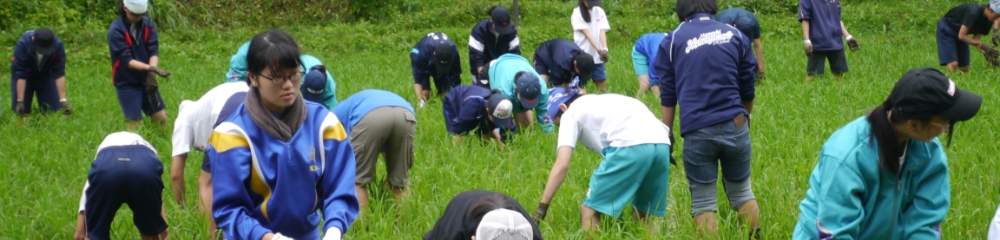 田んぼの草取りの写真