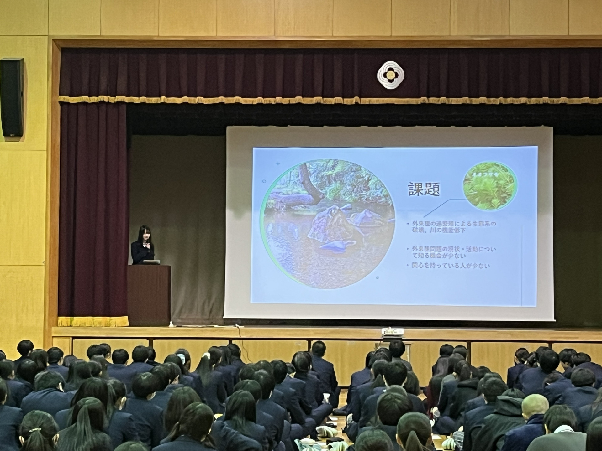 探究論文発表③