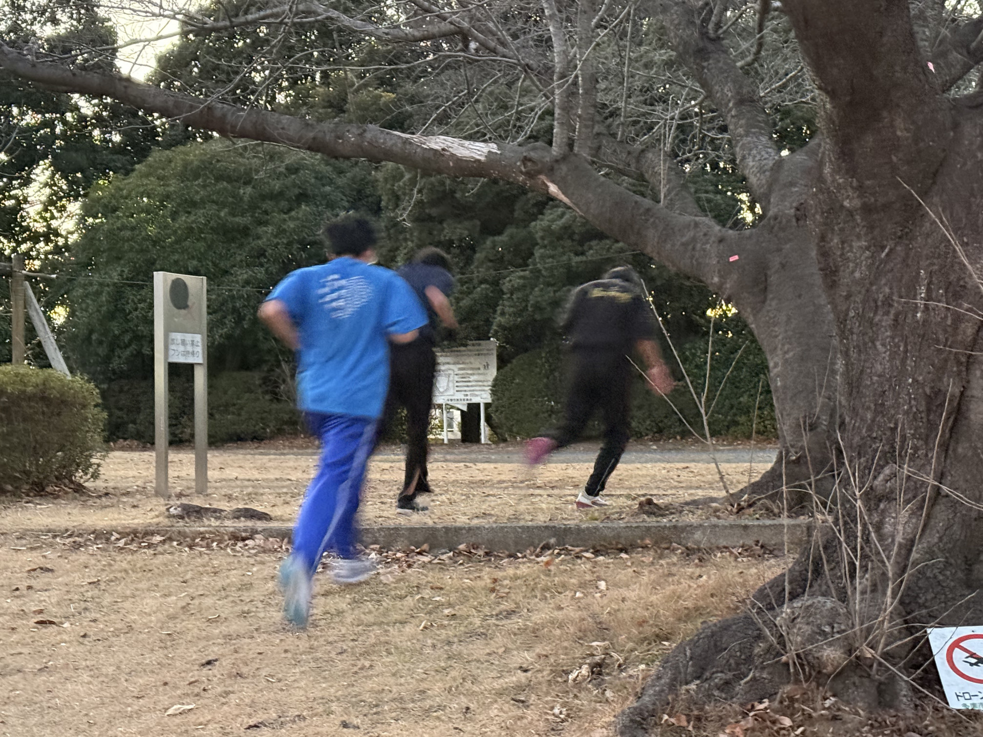 0109木をくぐる！