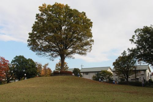 08a