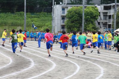 11a
