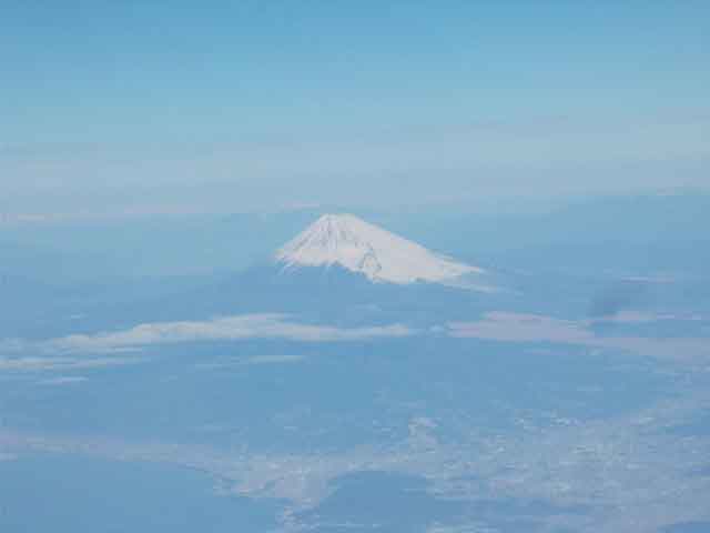 新年