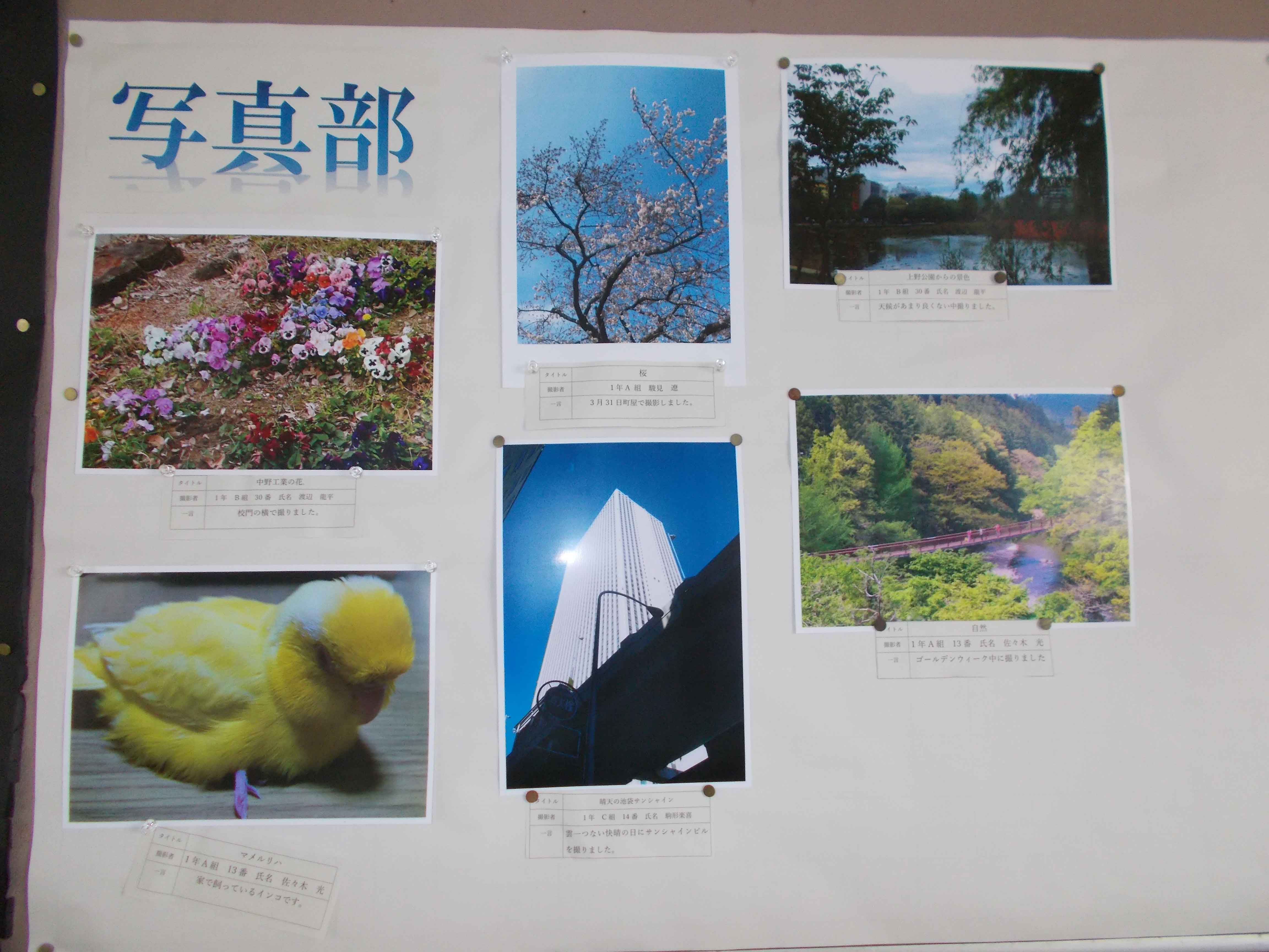 写真部