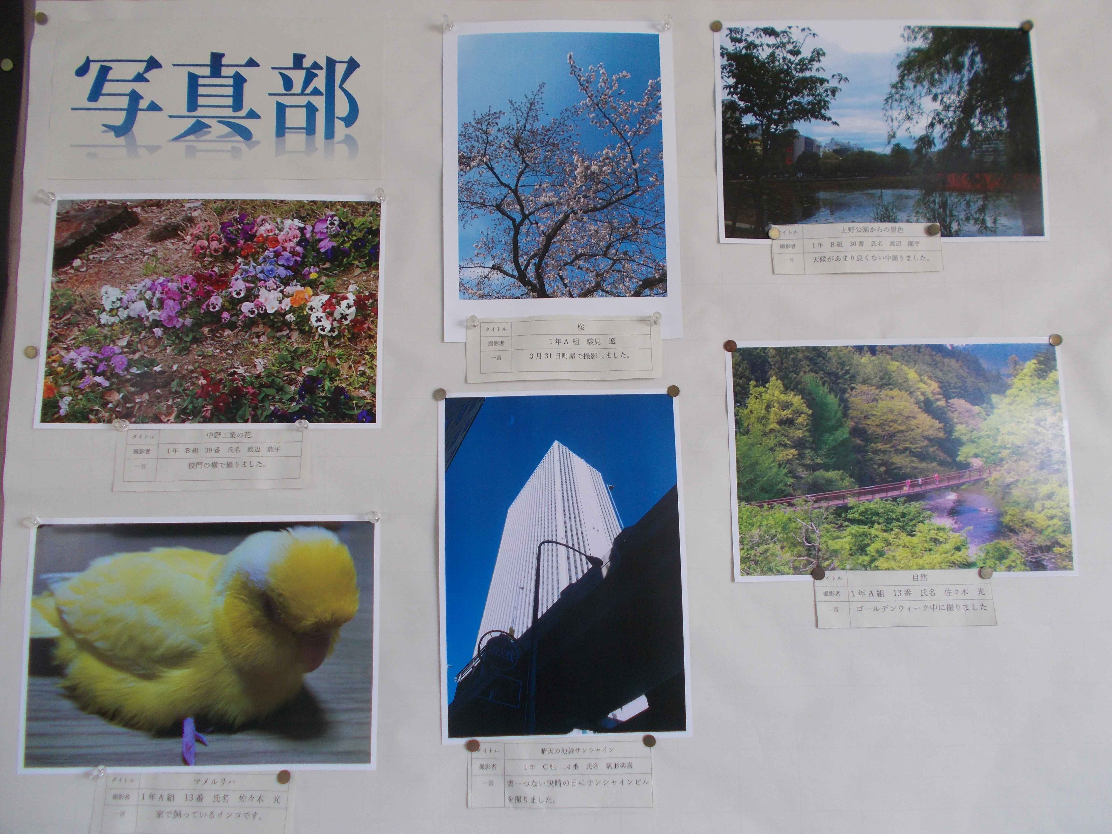 写真部作品 
