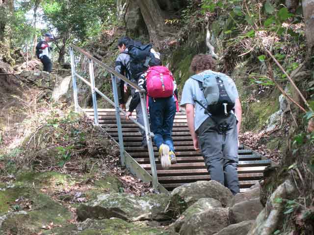 大山ハイキング