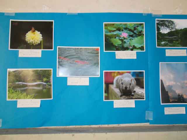 写真展