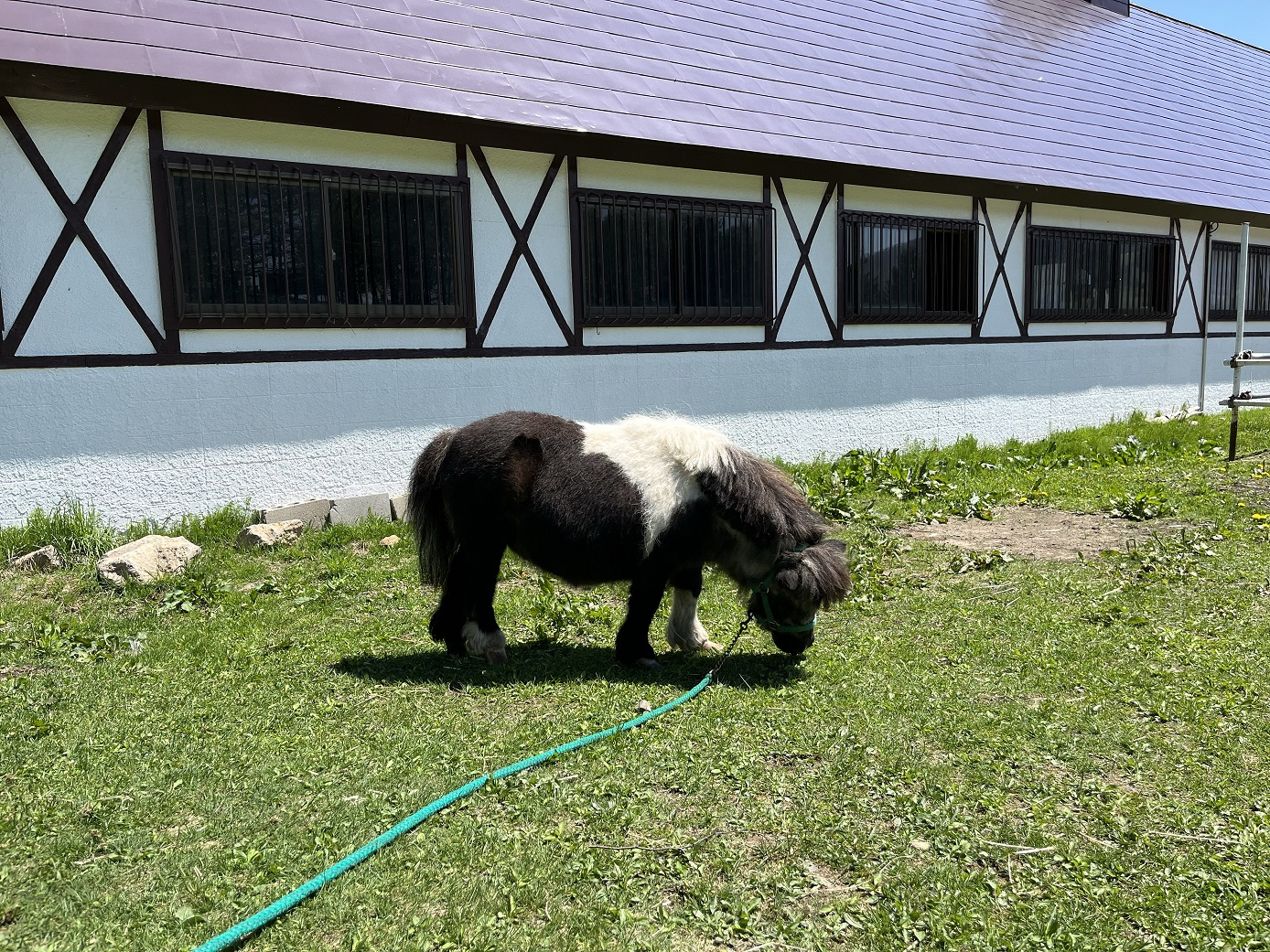 修学旅行2日目_③