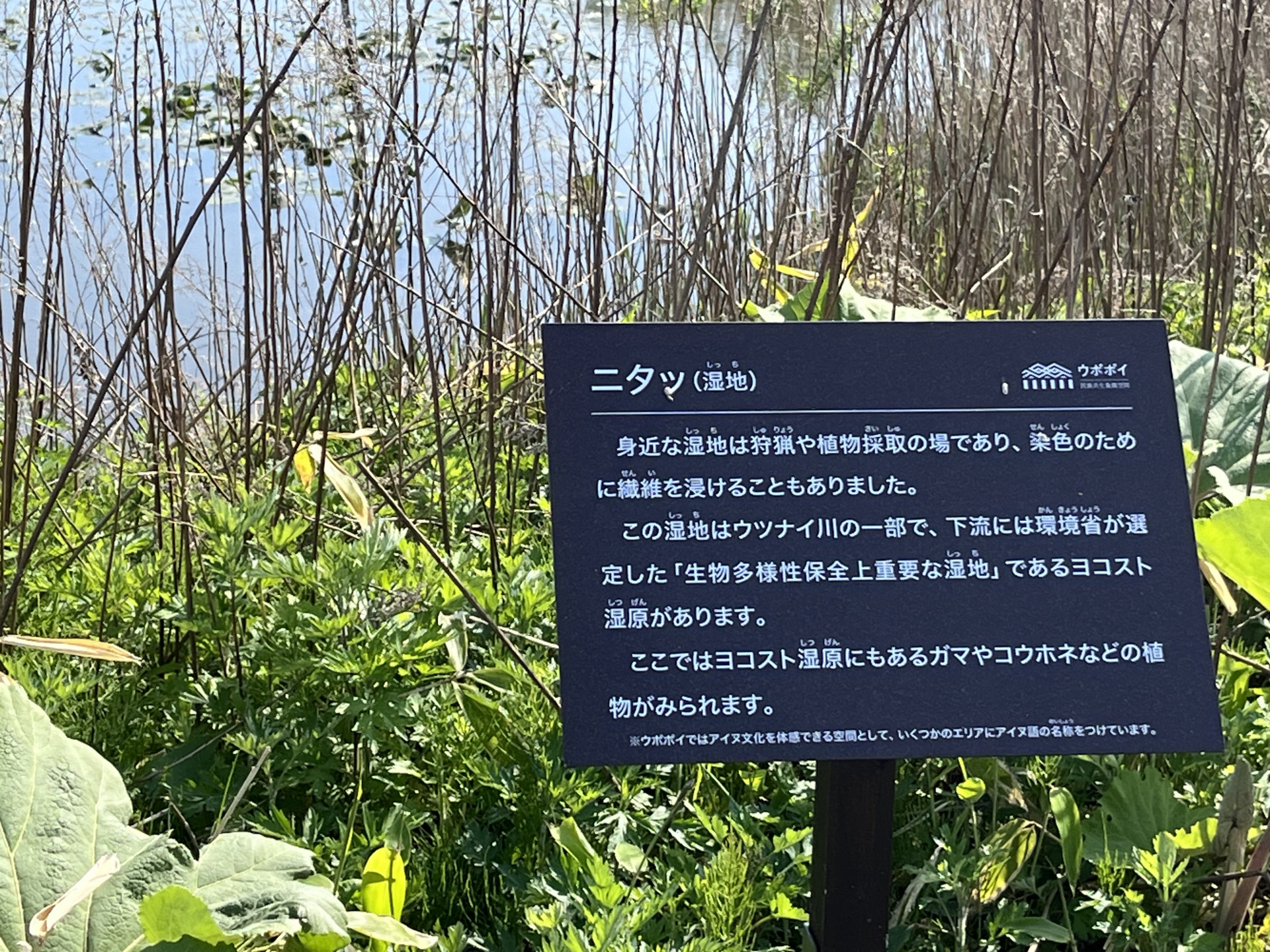 修学旅行⑨
