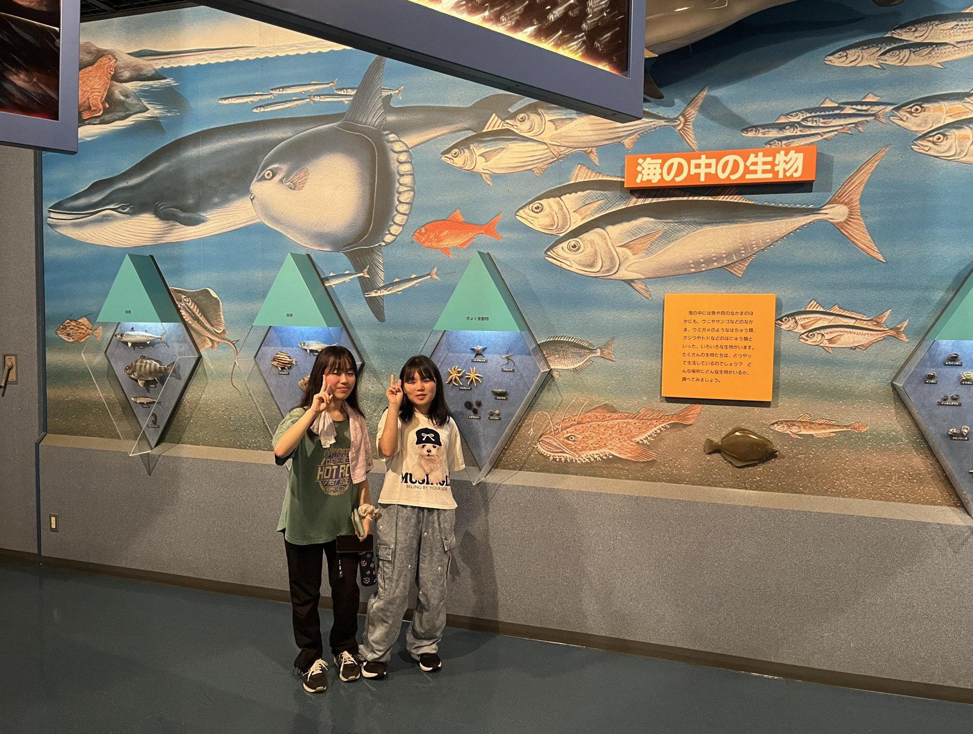 20250822_宿中夜4
