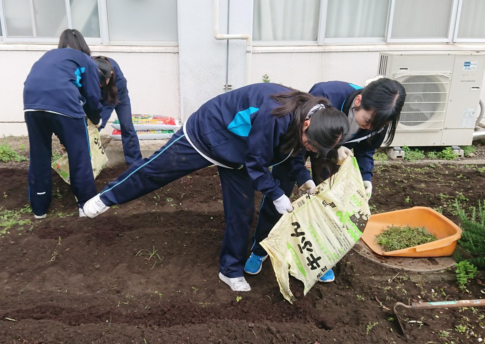 3牛ふんまき