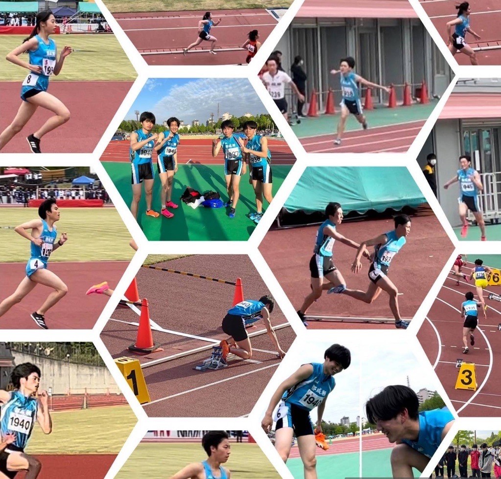 T&F1