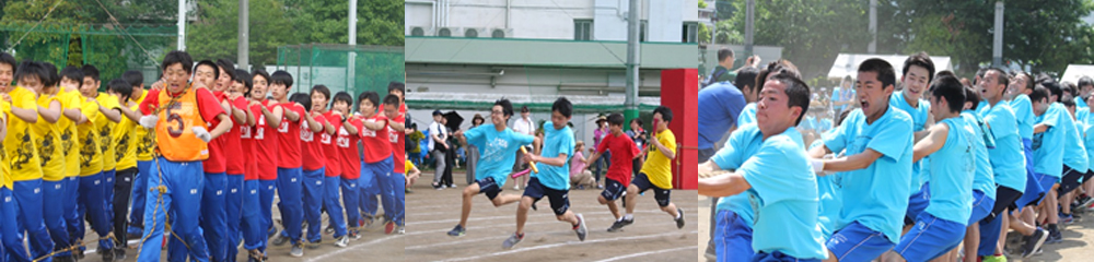 欅祭体育部門の写真