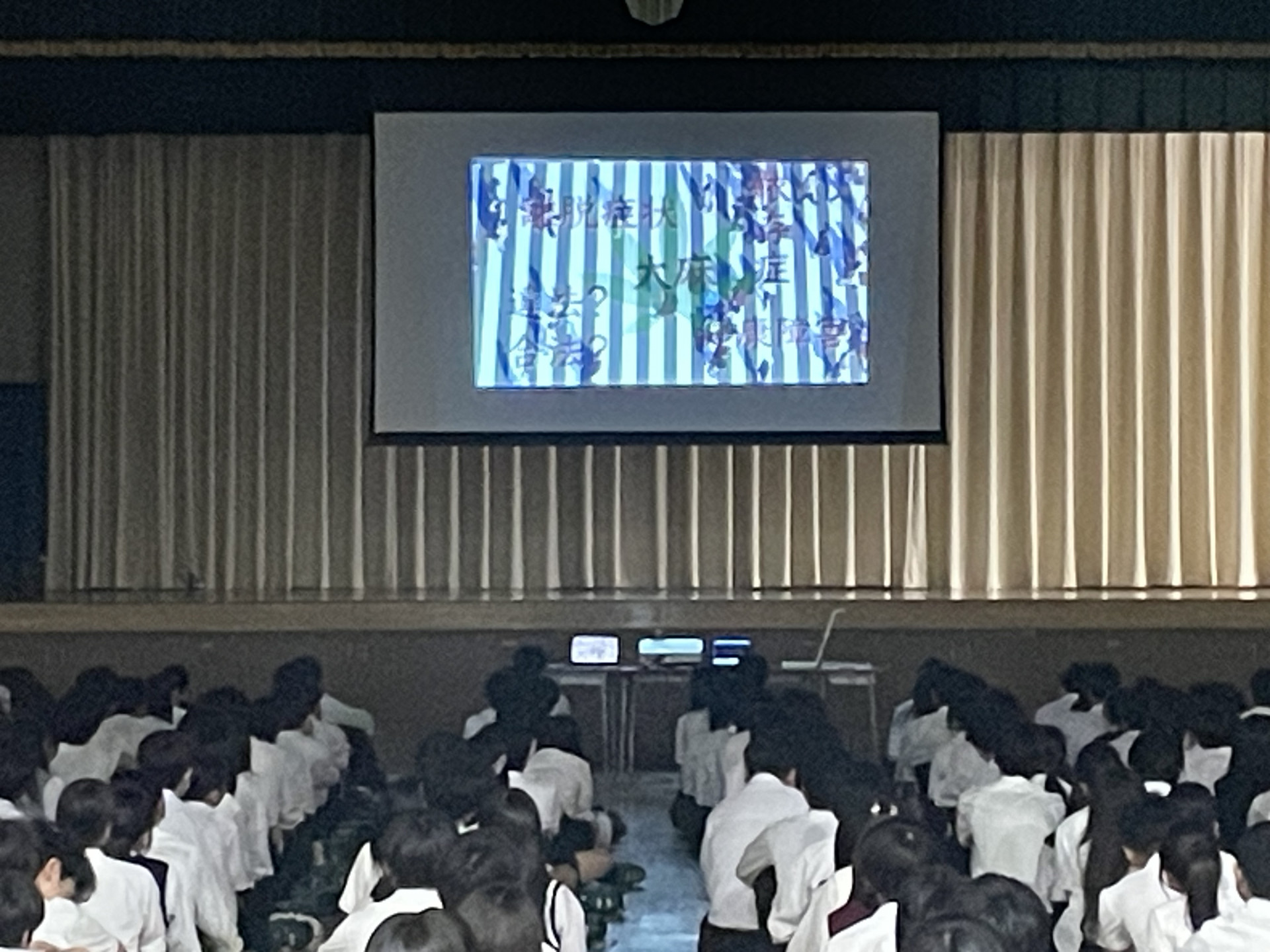 セ-フティ1