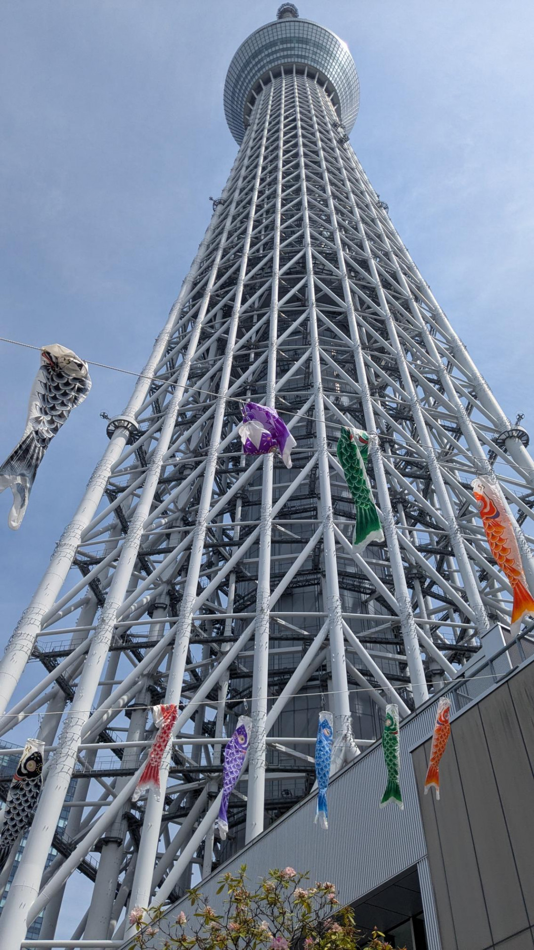 メディア