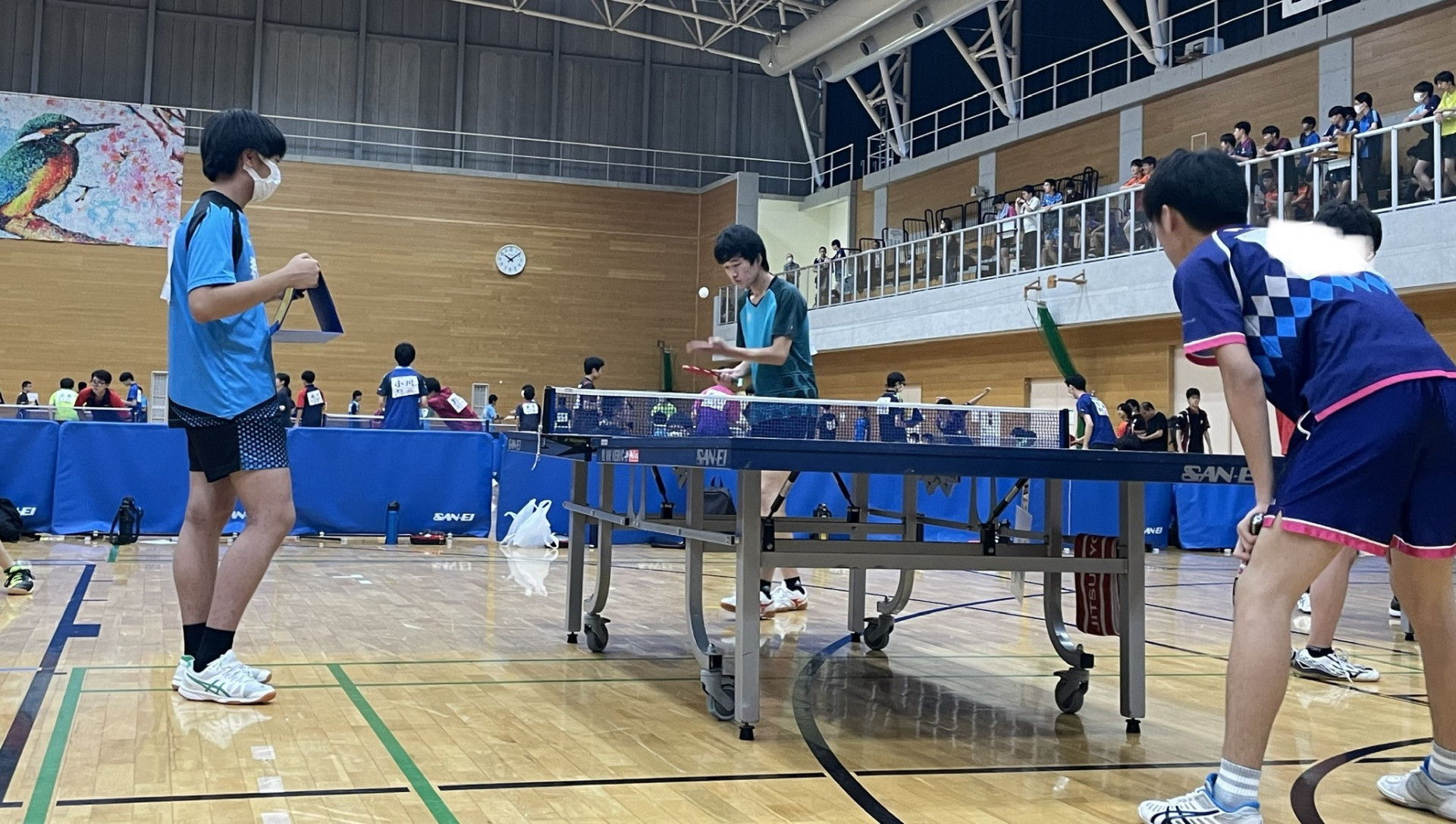 卓球４
