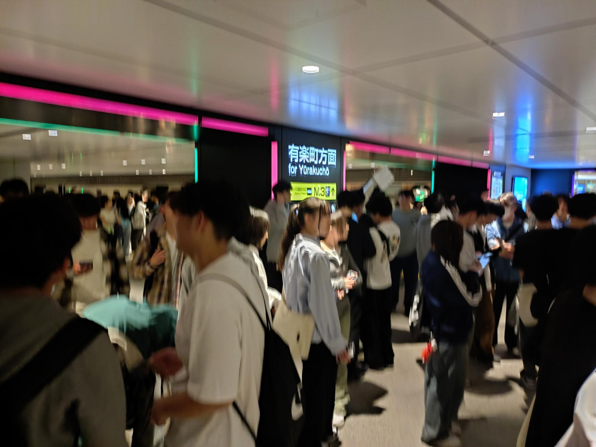 校外学習2-1