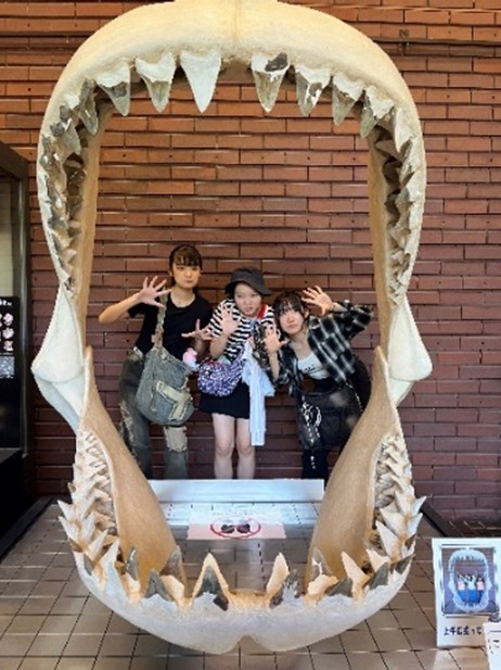 画像15