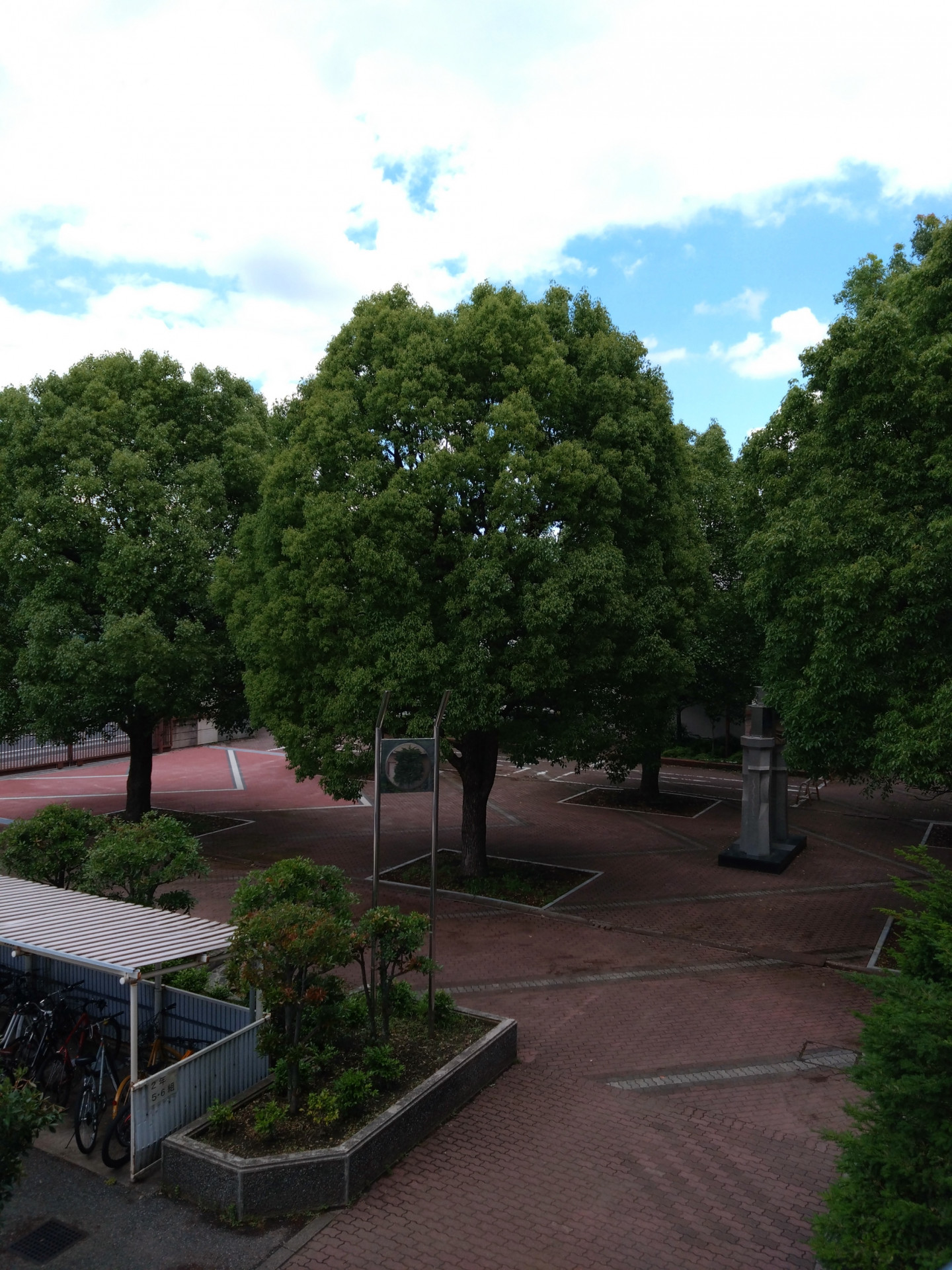 DSC_4806.JPG