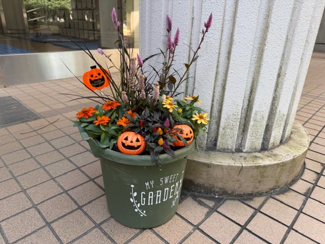 R71007寄せ植え２