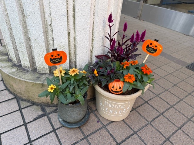 R71007寄せ植え３