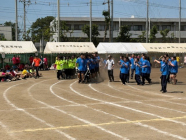 R80603むかで１
