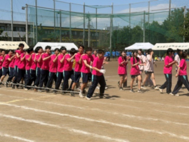 R80603むかで５