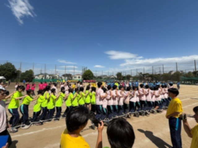 R80603むかで６