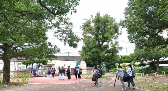 shared image (6)