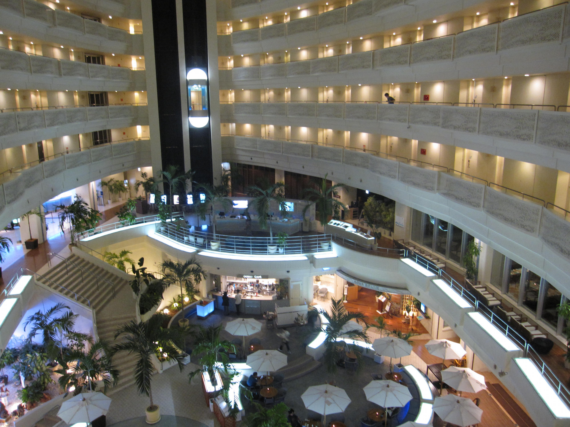 IMG_7003.JPG