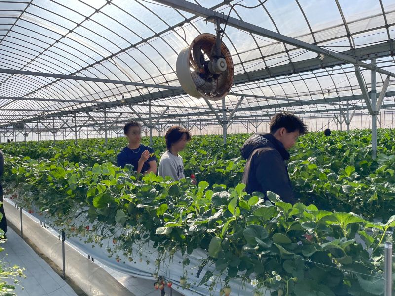 2026年02月2学年修学旅行写真01-
034
