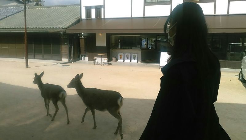 2026年02月2学年修学旅行写真01-
046
