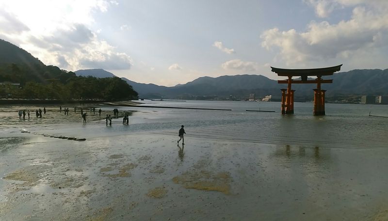 2026年02月2学年修学旅行写真01-
047
