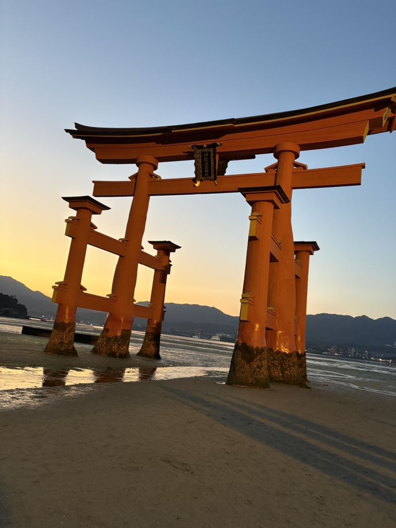 2026年02月2学年修学旅行写真01-
048
