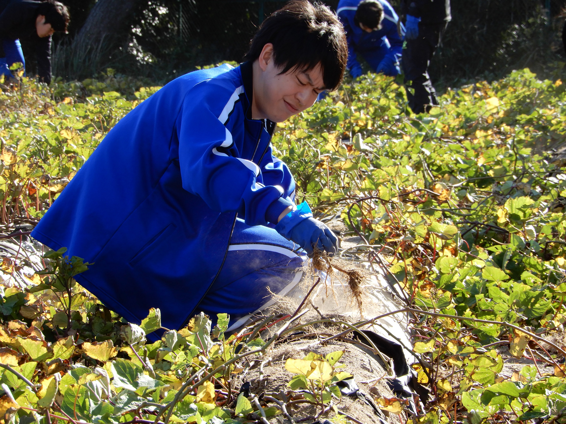 DSCN0950.JPG