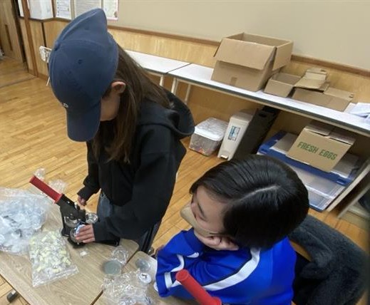 a658b989-f403-4647-a638-845b79bc9d43