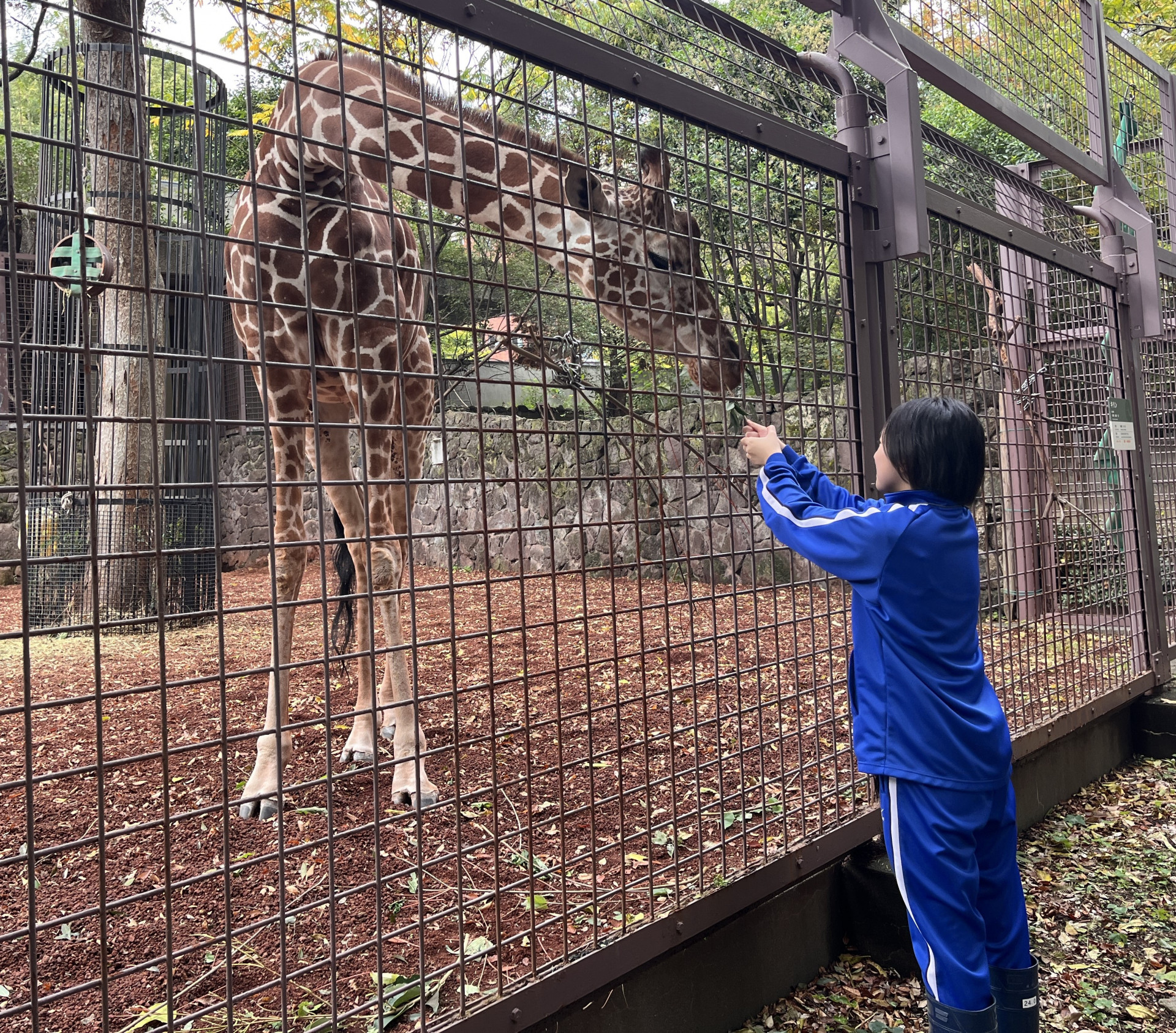 上野動物園