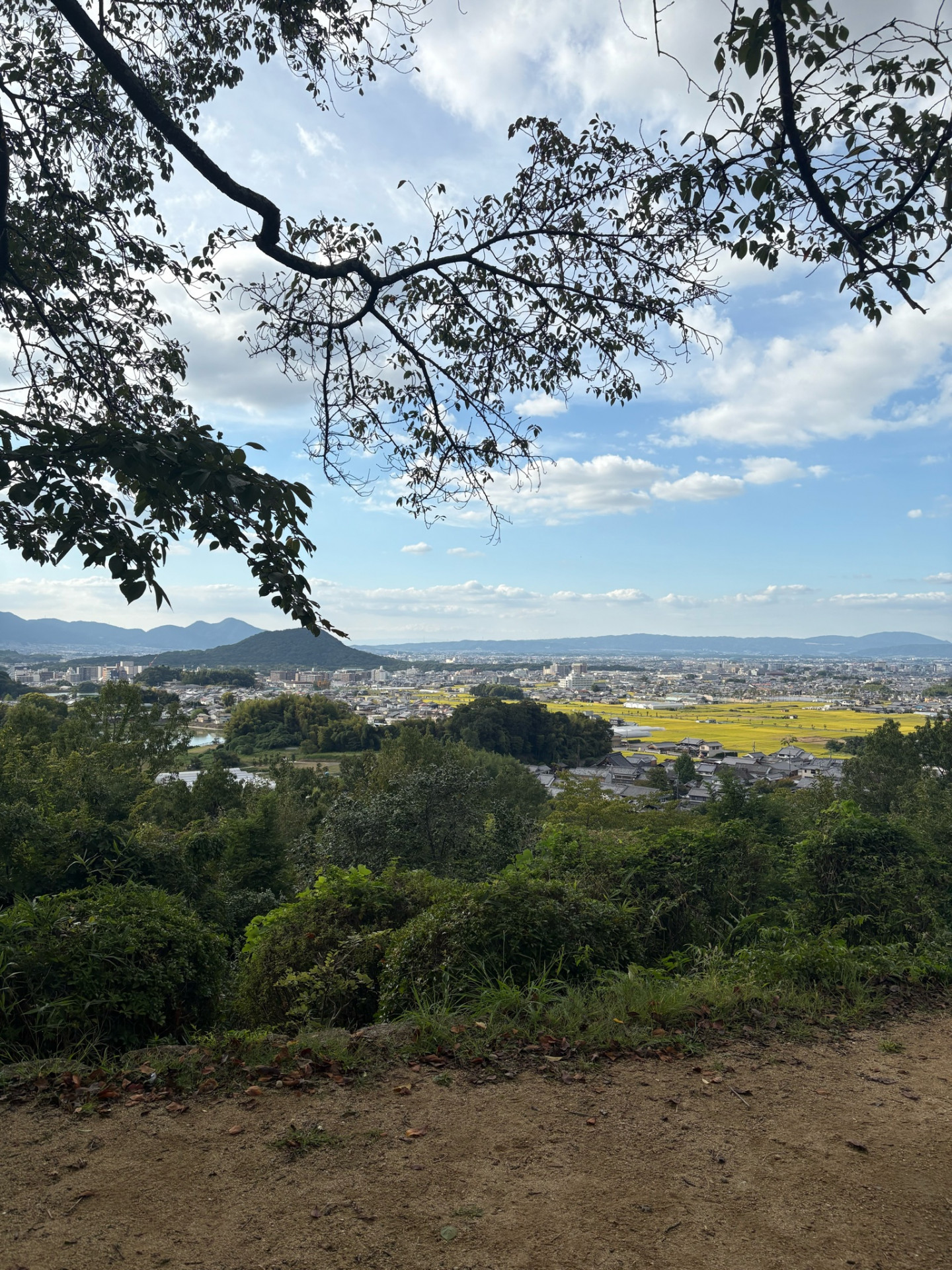 78期修学旅行１_3