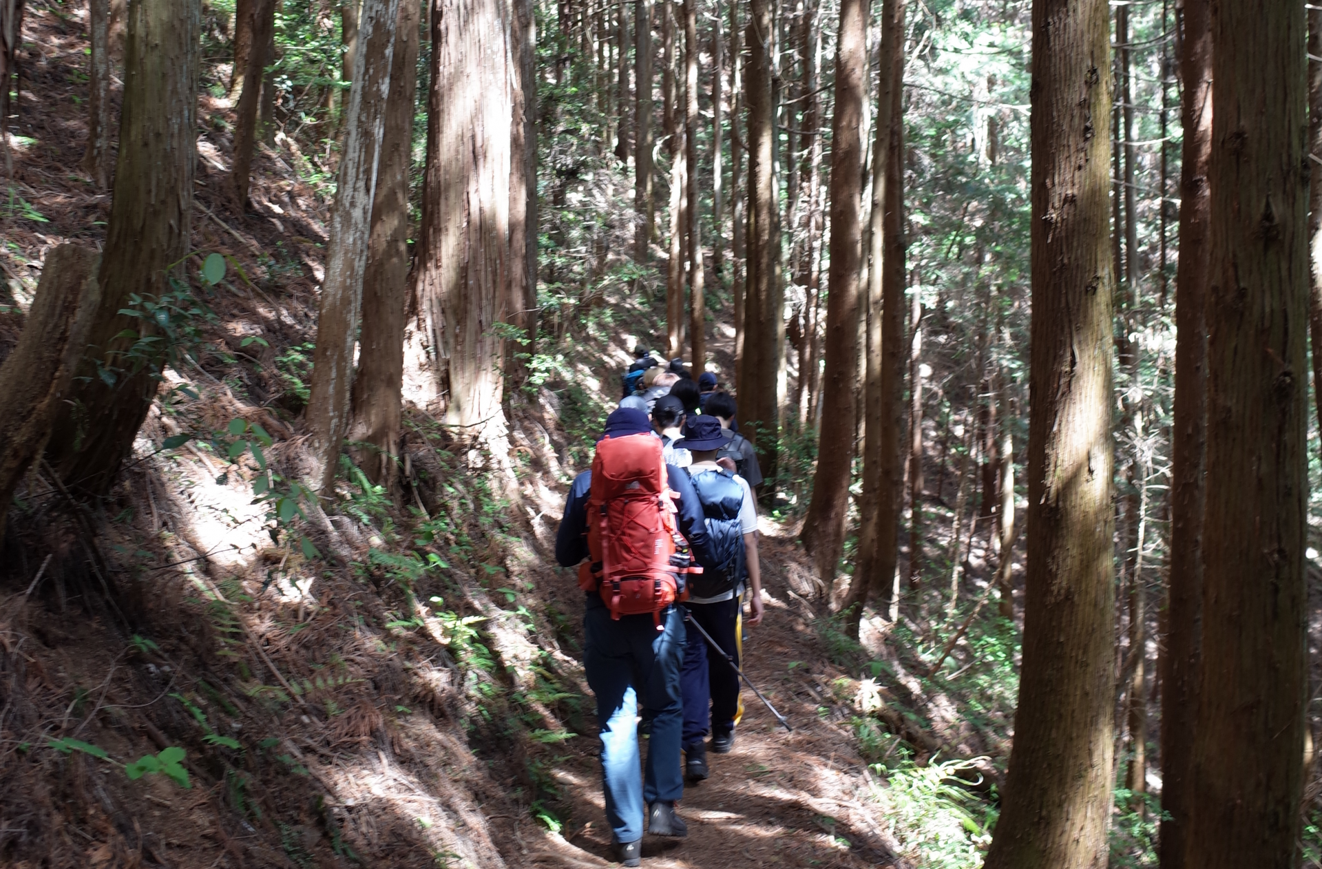 山道（行き）
