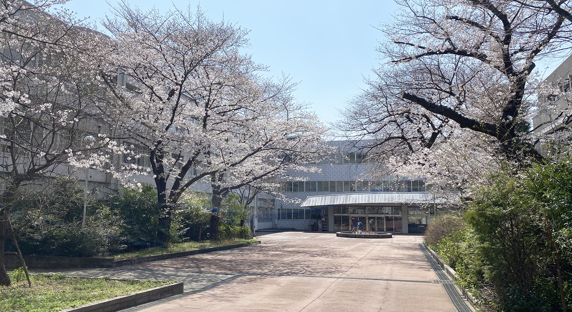 東京都立西高等学校 | 東京都立学校