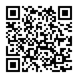 QR_241178